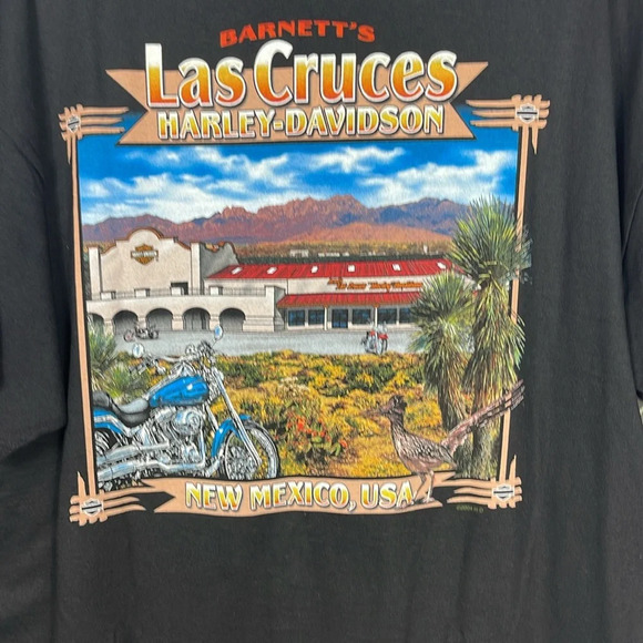 Harley-Davidson Other - Harley Davidson Men’s T-Shirt, Brother Ride,2008 Sz- 2X